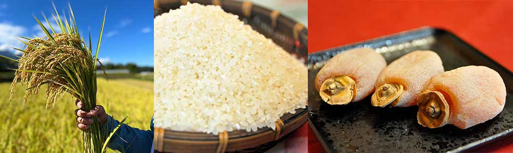 南信州のお米と市田柿